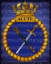 HMS Acute Magnet